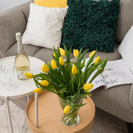 Oasis Charming Loft In A Historic Tenement House 900 M From Station ורשה